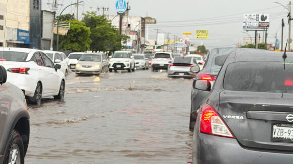 Lluvias dejan árboles, cables y estructuras caídas, además de daños en vehículos en Cajeme