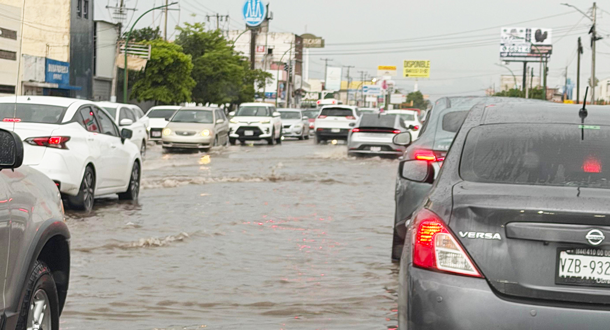 Lluvias dejan árboles, cables y estructuras caídas, además de daños en vehículos en Cajeme