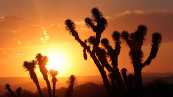 Más calor y sequías: Así ha cambiado el clima de Sonora en las últimas décadas