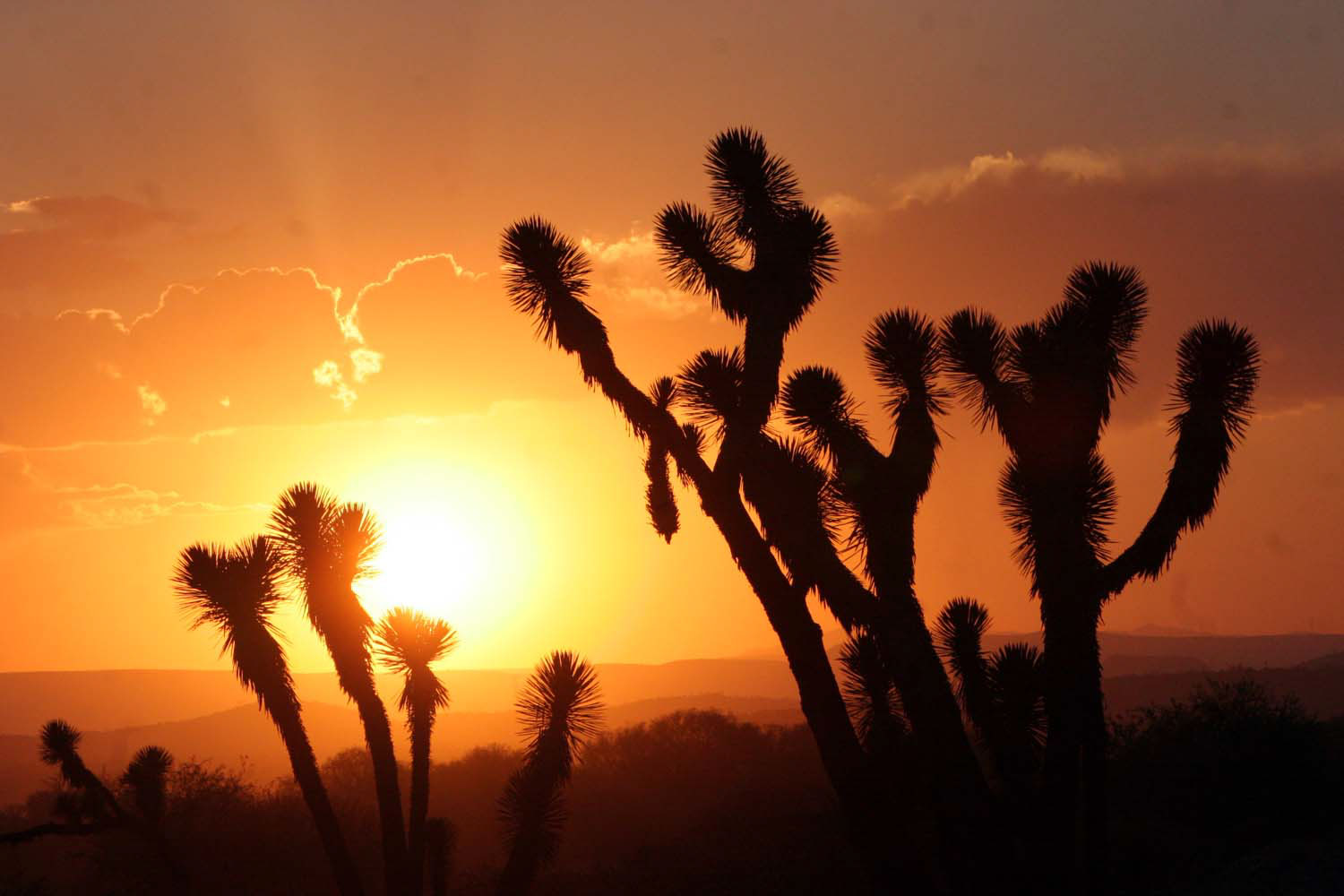 Más calor y sequías Así ha cambiado el clima de Sonora en las últimas décadas