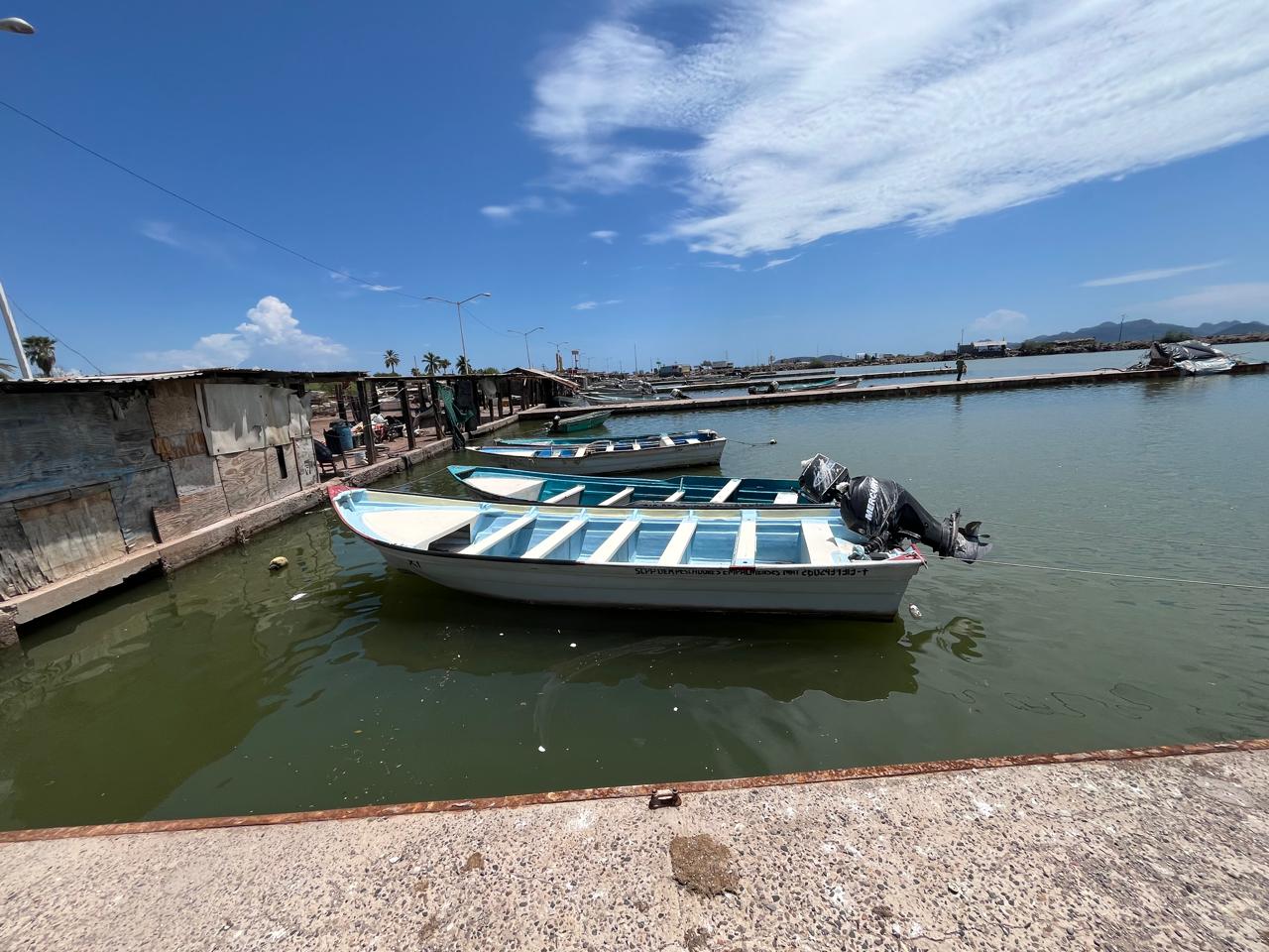 Principales pesquerías dan la espalda a ribereños; crece la crisis en Guaymas y Empalme