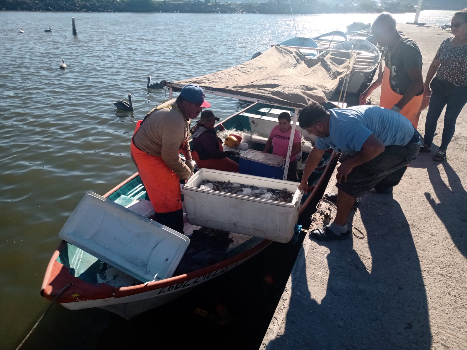 Ribereños de Guaymas y Empalme enfrentan incertidumbre por temporada de camarón