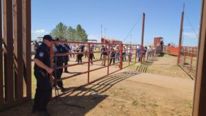 Se abre la frontera de Douglas con Agua Prieta para el cruce de ganado hacia Estados Unidos