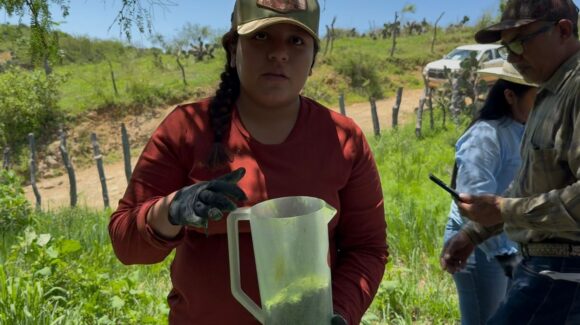 Sonora refuerza cerco contra el gusano barrenador con 22 millones de moscas estériles
