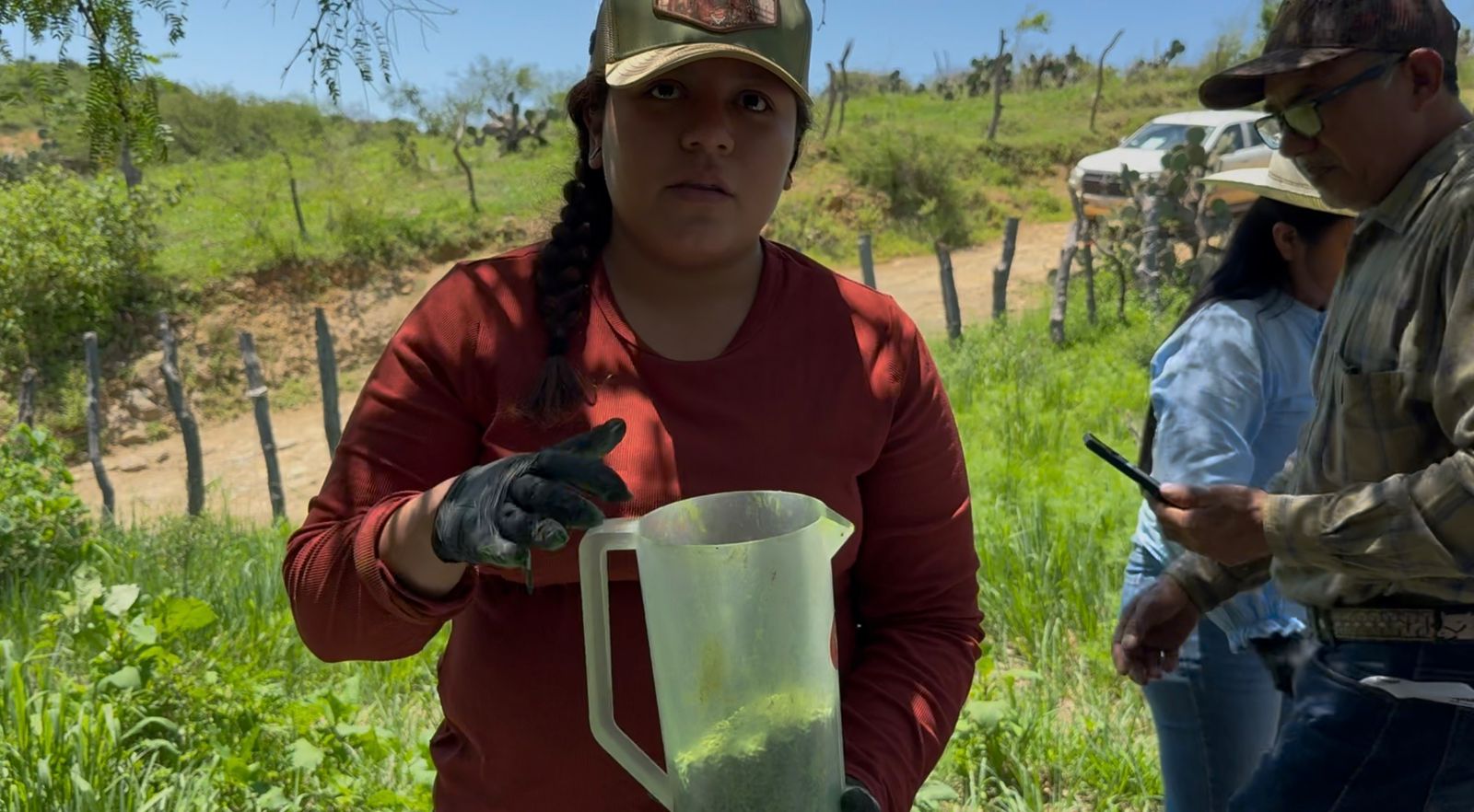 Sonora refuerza cerco contra el gusano barrenador con 22 millones de moscas estériles