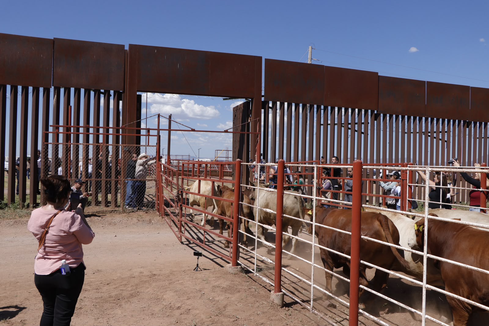 Sonora refuerza combate al gusano barrenador con 7 millones de moscas estériles