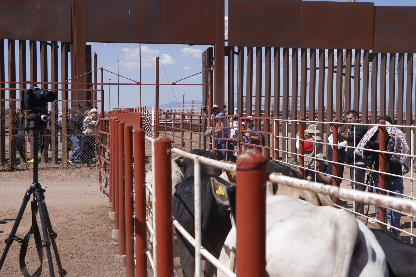 Sonora refuerza combate al gusano barrenador con 7 millones de moscas estériles