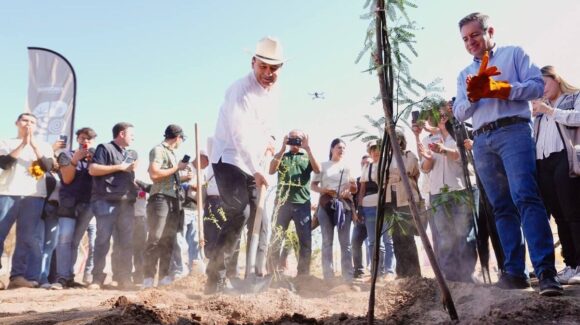 Sonora se une a la Jornada Nacional de Reforestación en el Cerro de la Cementera de Hermosillo
