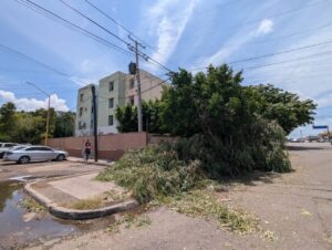 Tormenta deja destrozos por las calles de Ciudad Obregón