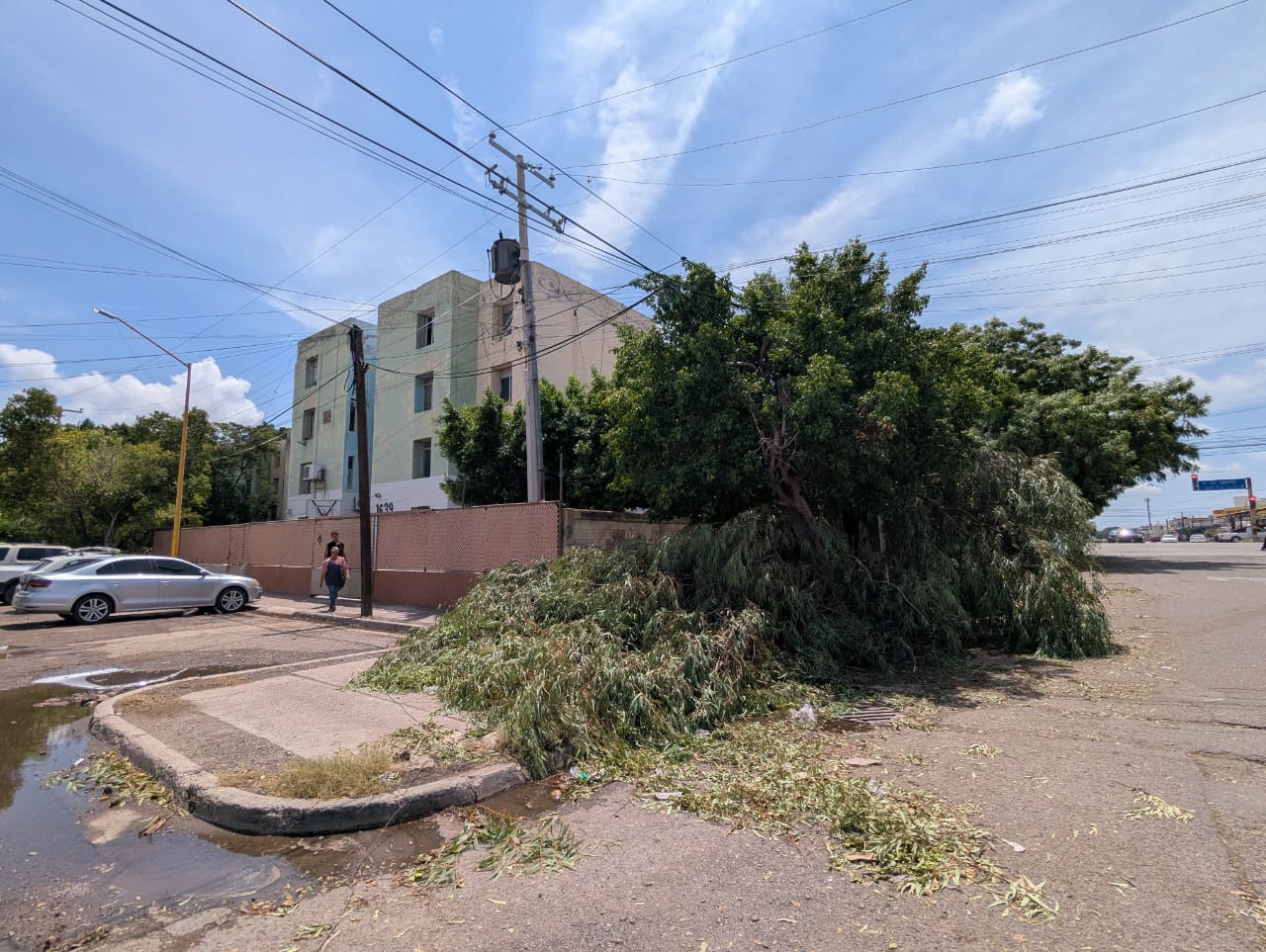 Tormenta deja destrozos por las calles de Ciudad Obregón