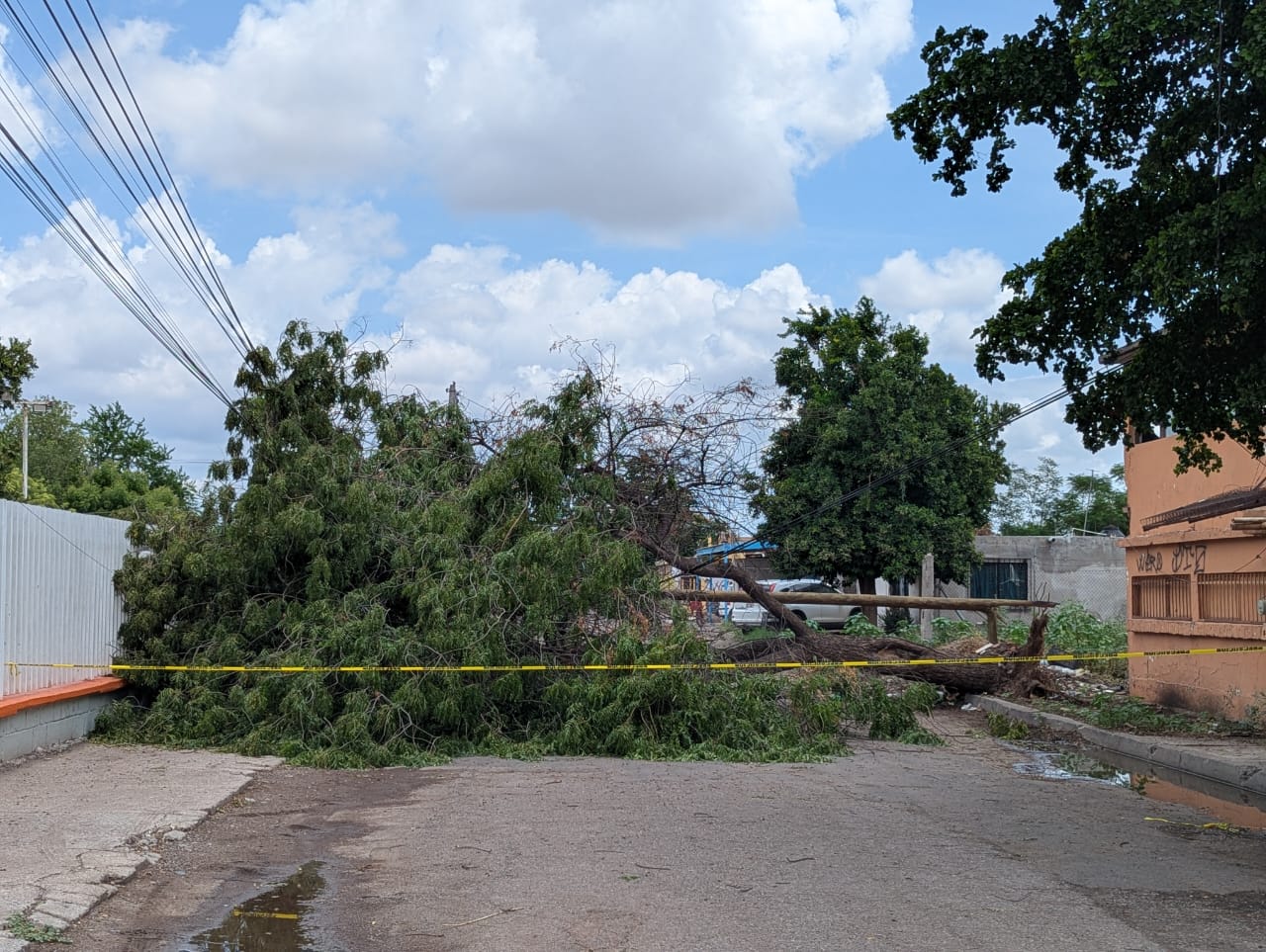Tormenta deja destrozos por las calles de Ciudad Obregón