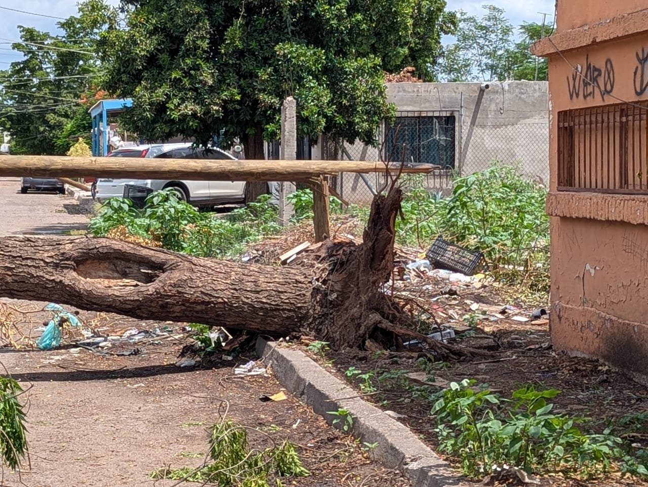 Tormenta deja destrozos por las calles de Ciudad Obregón