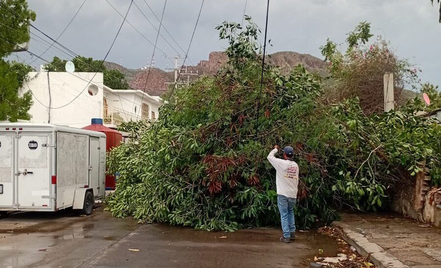 Tormenta deja sin luz a sectores y comunidades rurales de Guaymas y Empalme