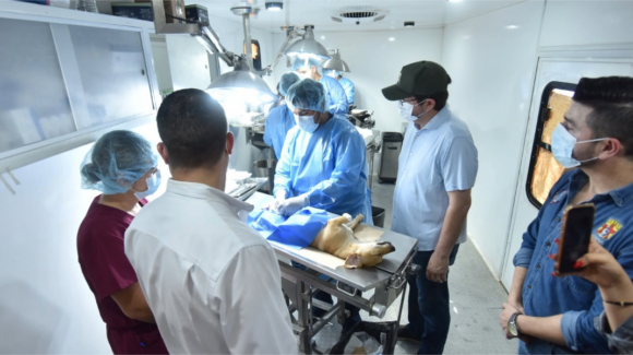 Van más de 525 perros y gatos esterilizados en dos semanas en Navojoa