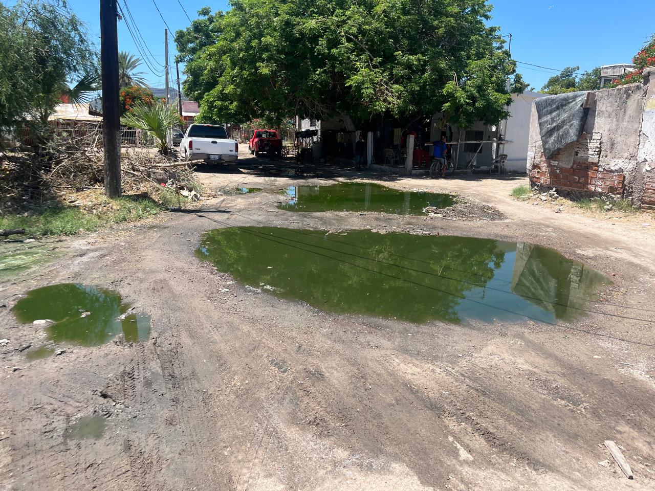 Vecinos de Bellavista viven entre aguas negras por fugas de drenaje en Empalme