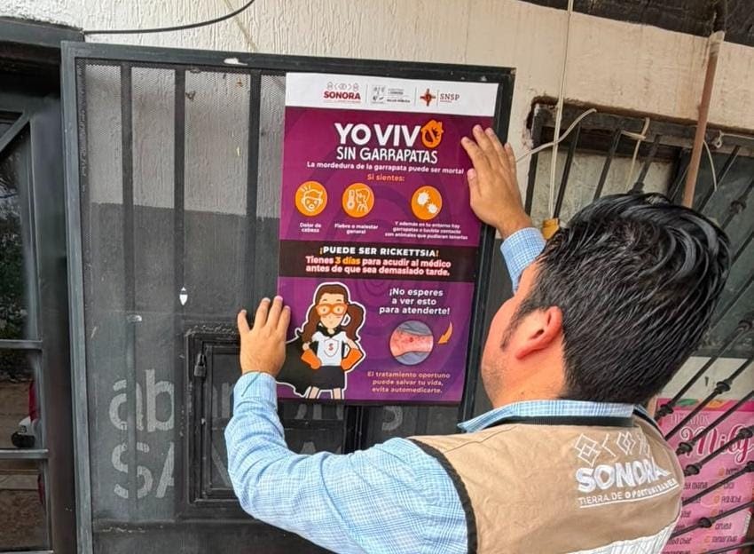 Salud Sonora recuerda mantener una casa limpia para combatir la rickettsia