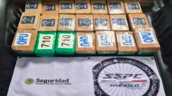 Golpe al narcotráfico en CDMX: Aseguran 217 kilos de cocaína y detienen a un hombre en Tlalpan