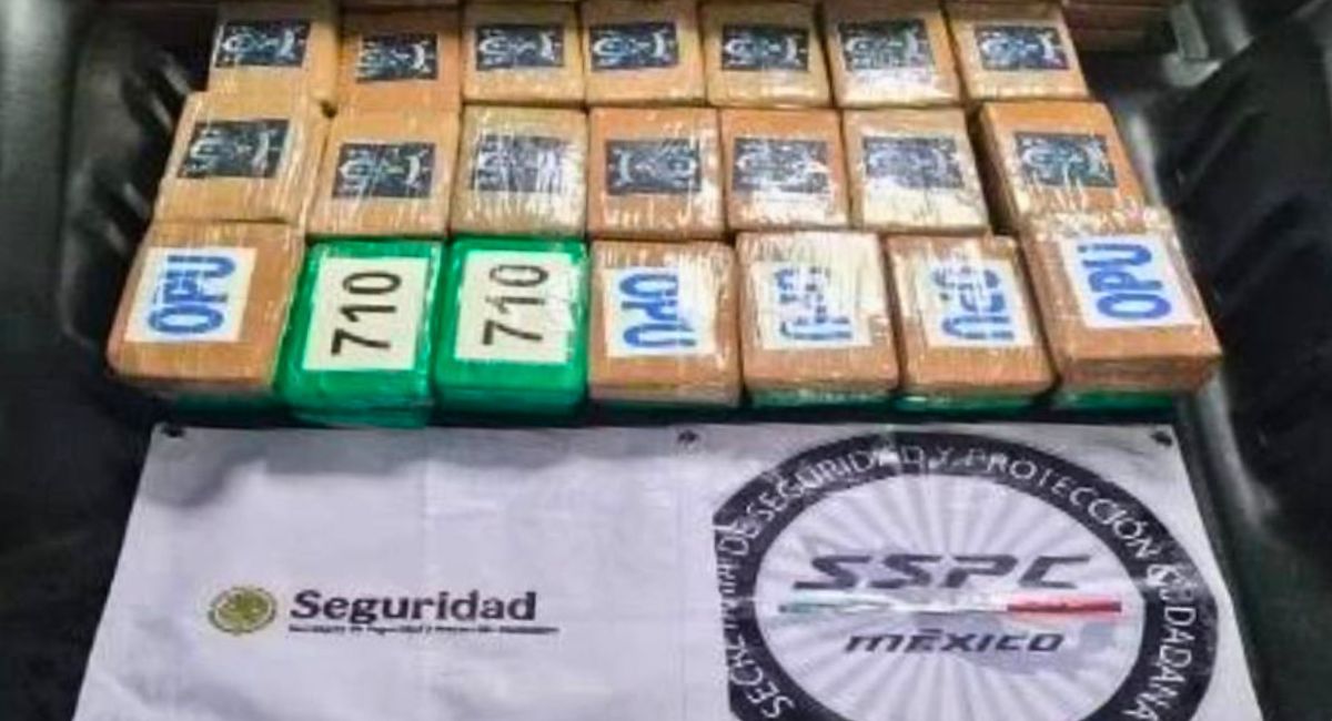 Decomisan 217 kilos de cocaína en Tlalpan; hay un detenido