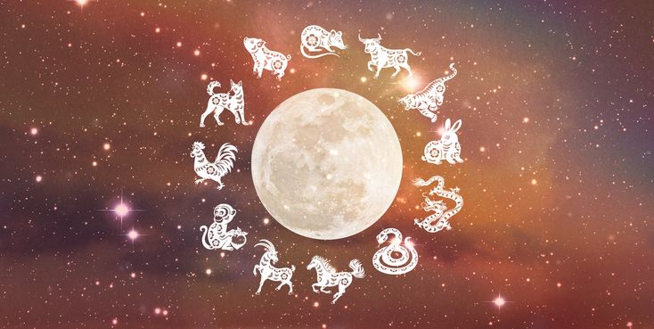Conoce qué te depara tu signo del zodiaco del Horóscopo Chino, HOY, martes 11 de agosto del 2026