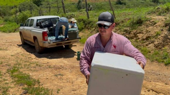 Sonora libera 360 mil larvas de mosca estéril para frenar avance del Gusano Barrenador