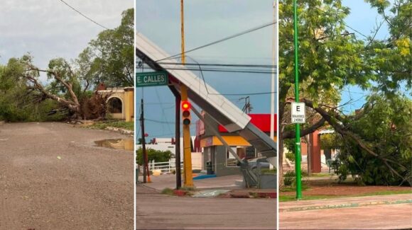 Tormenta en Ciudad Obregón HOY: Reportan árboles caídos, apagones y daños a estructuras