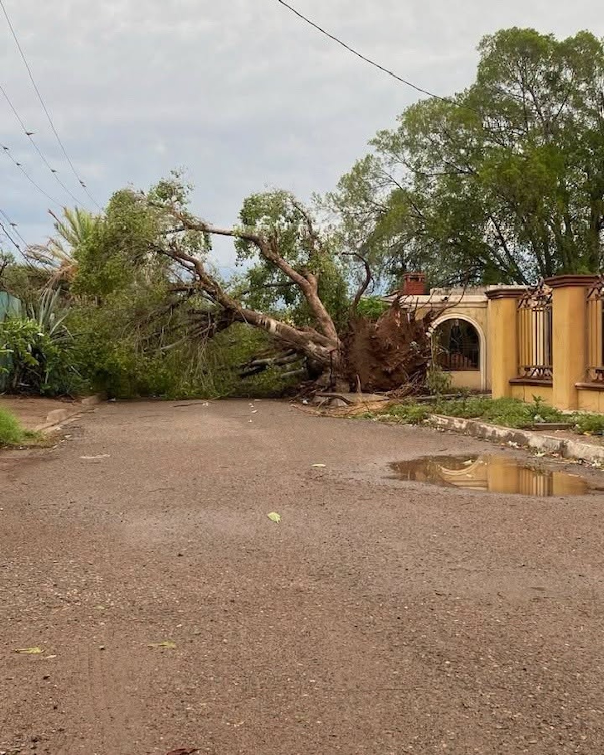 Ciudad Obregón amanece con daños tras tormenta. Foto: Redes