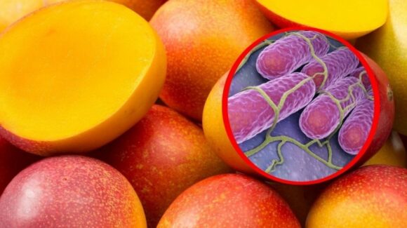 ¡No los consumas! Estados Unidos retira del mercado cientos de mangos por riesgo de Salmonella
