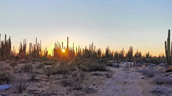 Clima en Sonora: ¿Comienzan estragos por Huracán ‘Polo’? Conagua advierte lluvias hoy 27 de septiembre