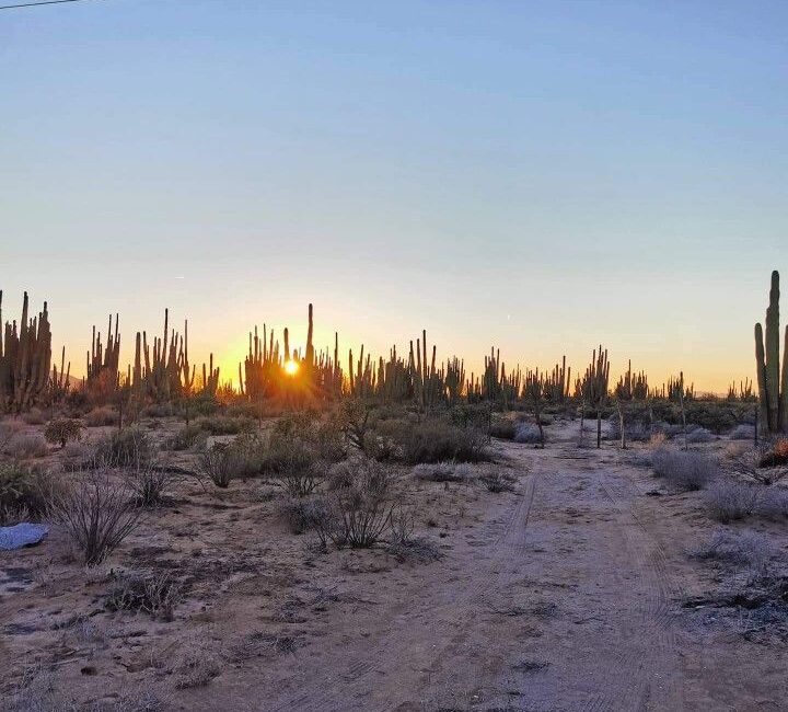 Clima en Sonora: ¿Comienzan estragos por Huracán ‘Polo’? Conagua advierte lluvias hoy 27 de septiembre