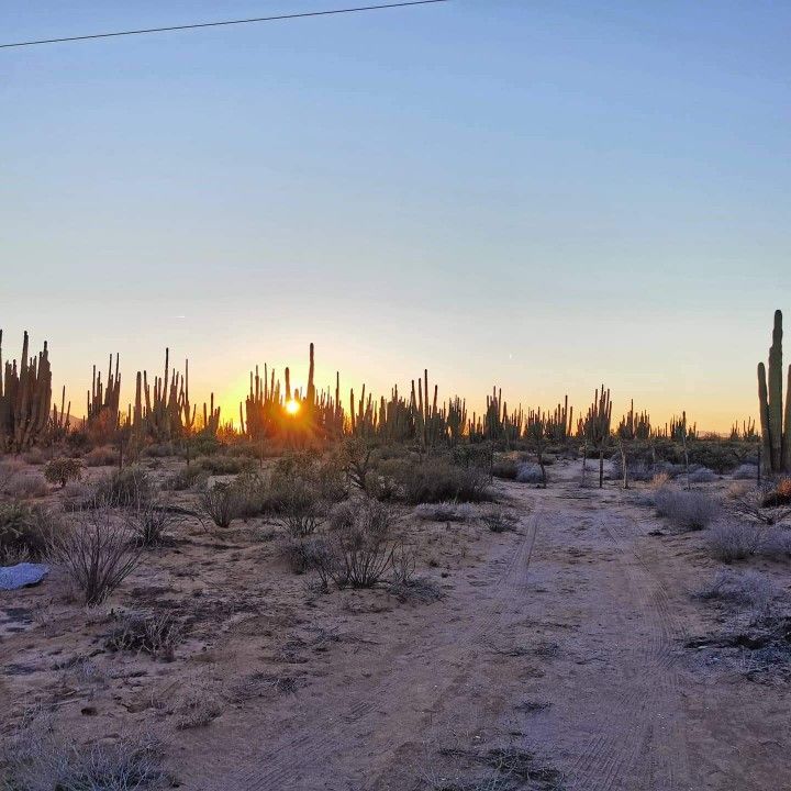 Clima en Sonora: ¿Lloverá hoy en Obregón? Conagua advierte chubascos para este sábado 19 de septiembre