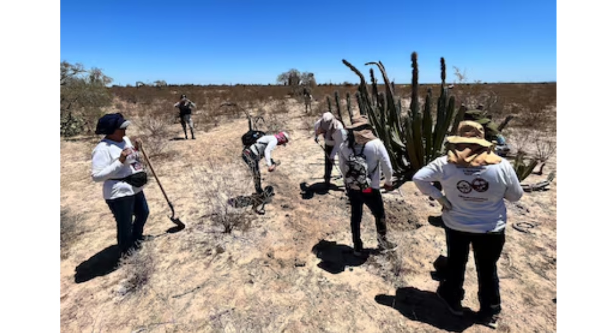 Ante violencia alarmante, ONU exige a México garantizar protección a buscadoras en Sinaloa