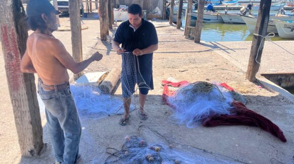 Arranca este martes 22 de septiembre la temporada camaronera para los ribereños de Guaymas y Empalme