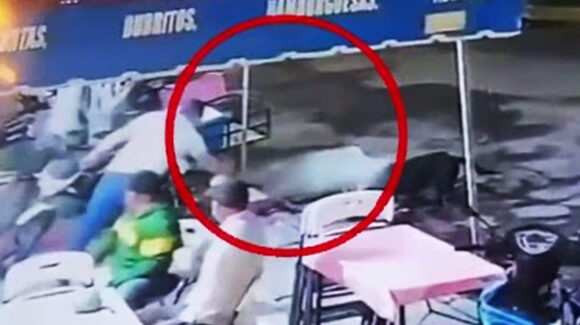VIDEO: Buscan a trabajador de restaurante que arrojó agua hirviendo a dos perros en Michoacán