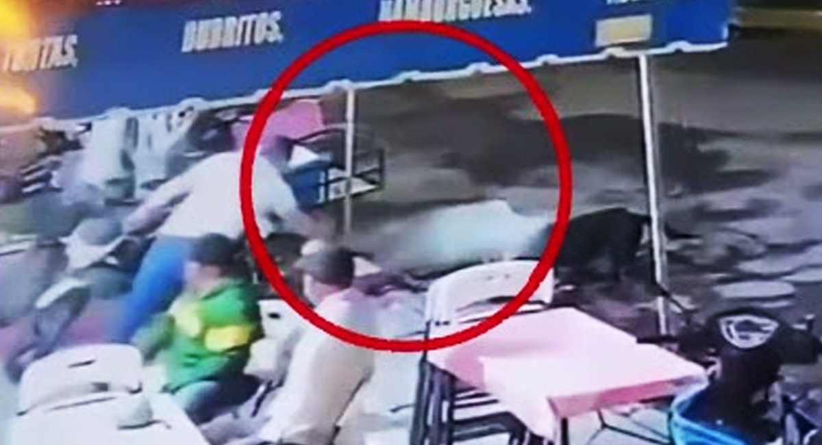 VIDEO: Buscan a trabajador de restaurante que arrojó agua hirviendo a dos perros en Michoacán