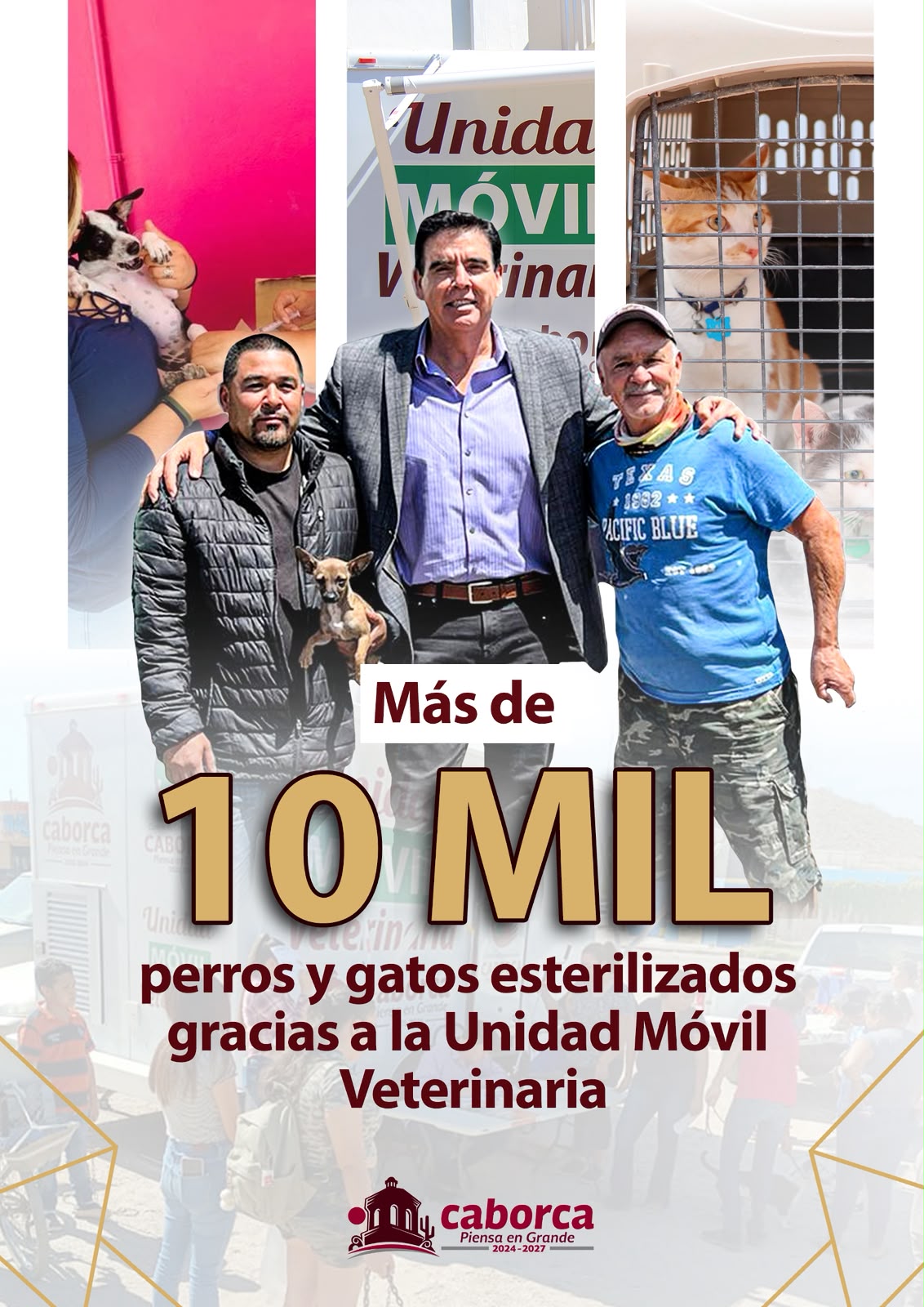 Caborca supera las 10 mil esterilizaciones gratuitas de perros y gatosCaborca supera las 10 mil esterilizaciones gratuitas de perros y gatos