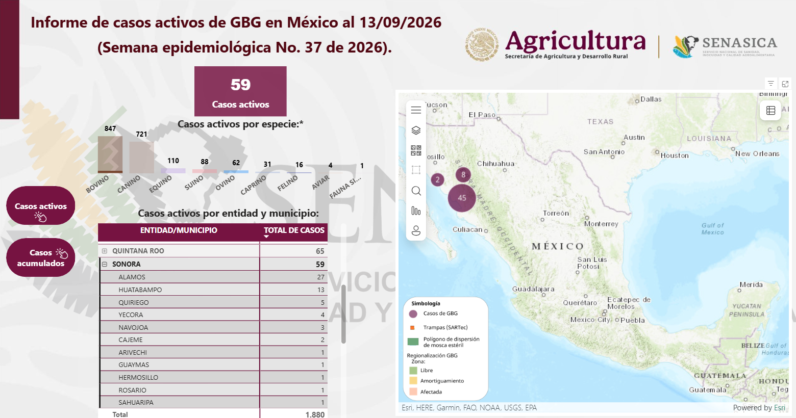 Confirman primer caso de Gusano Barrenador en Hermosillo; Sonora suma 59