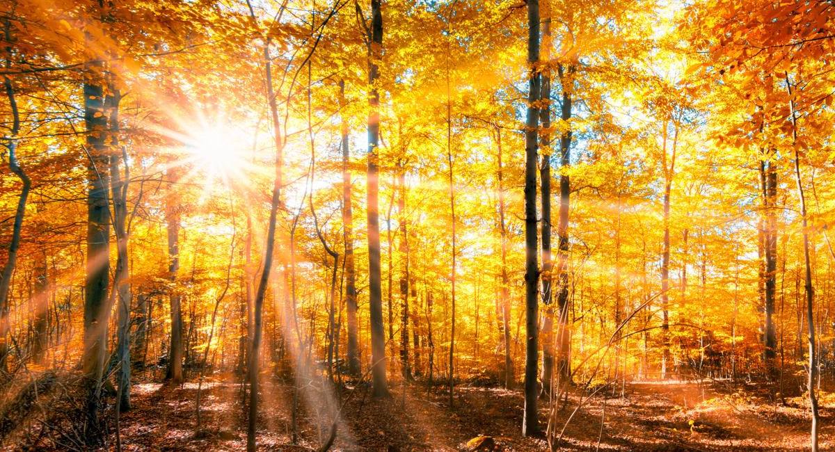 Conoce qué es, cuál es la fecha, hora exacta en que inicia el Equinoccio de Otoño 2026