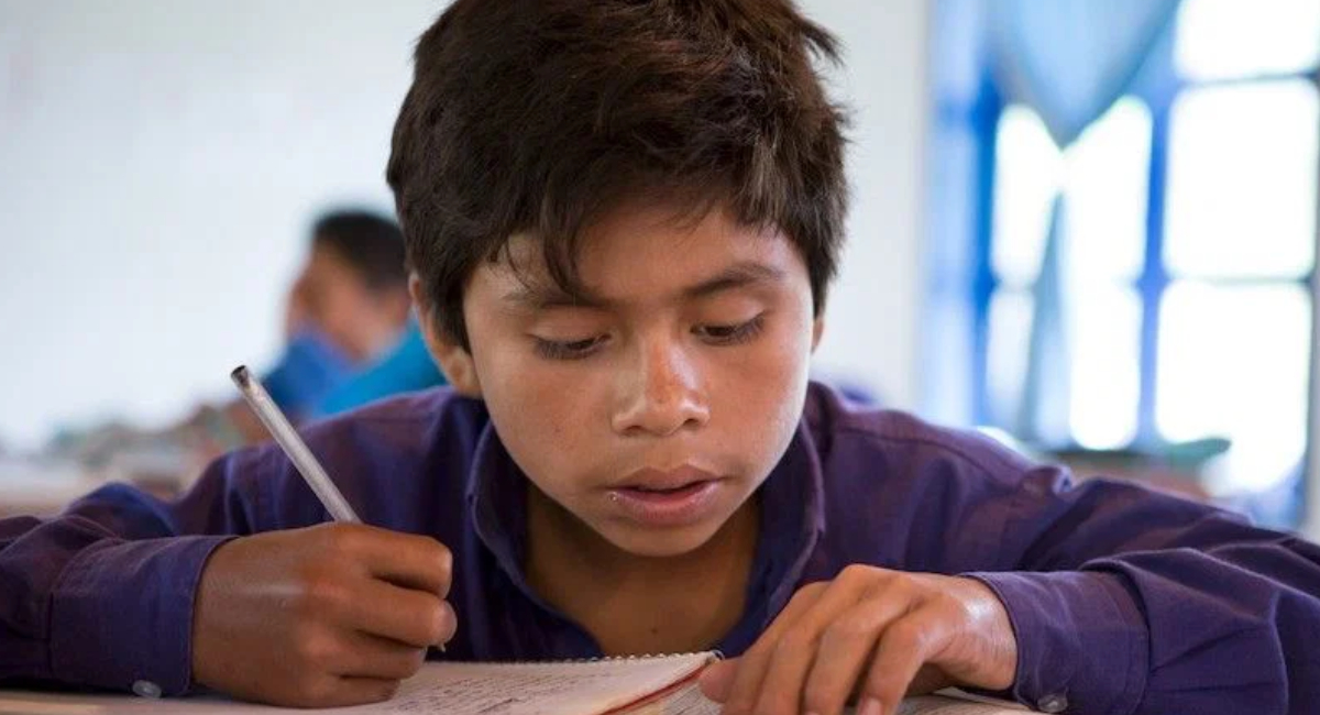 Día Internacional de la Alfabetización: ¿Qué es y Cómo ha cambiado la educación en México?