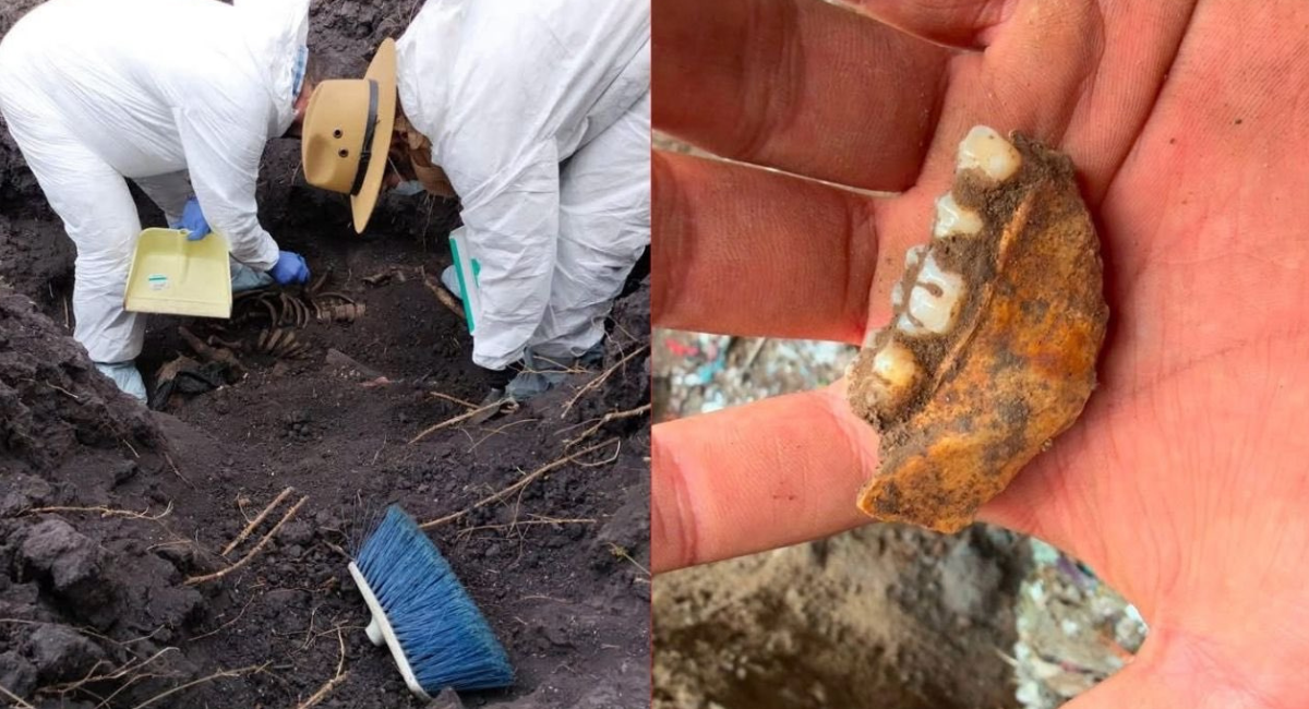 Madres Buscadoras hallan más de mil 600 dientes de leche en fosa clandestina de Zacapu, Michoacán