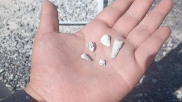 Madres Buscadoras hallan más de mil 600 dientes de leche en fosa clandestina de Zacapu, Michoacán