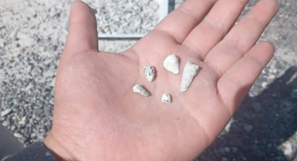 Madres Buscadoras hallan más de mil 600 dientes de leche en fosa clandestina de Zacapu, Michoacán