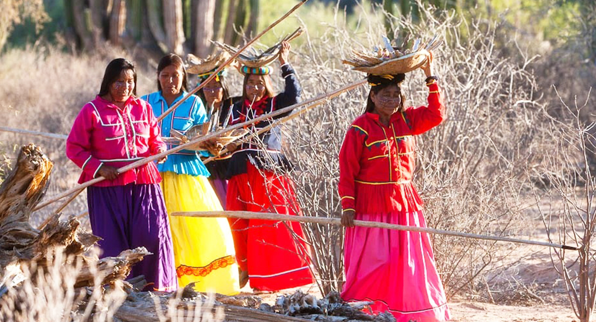 Mujer yaqui, pilar en la preservación de tradiciones y toma de decisiones en su comunidad