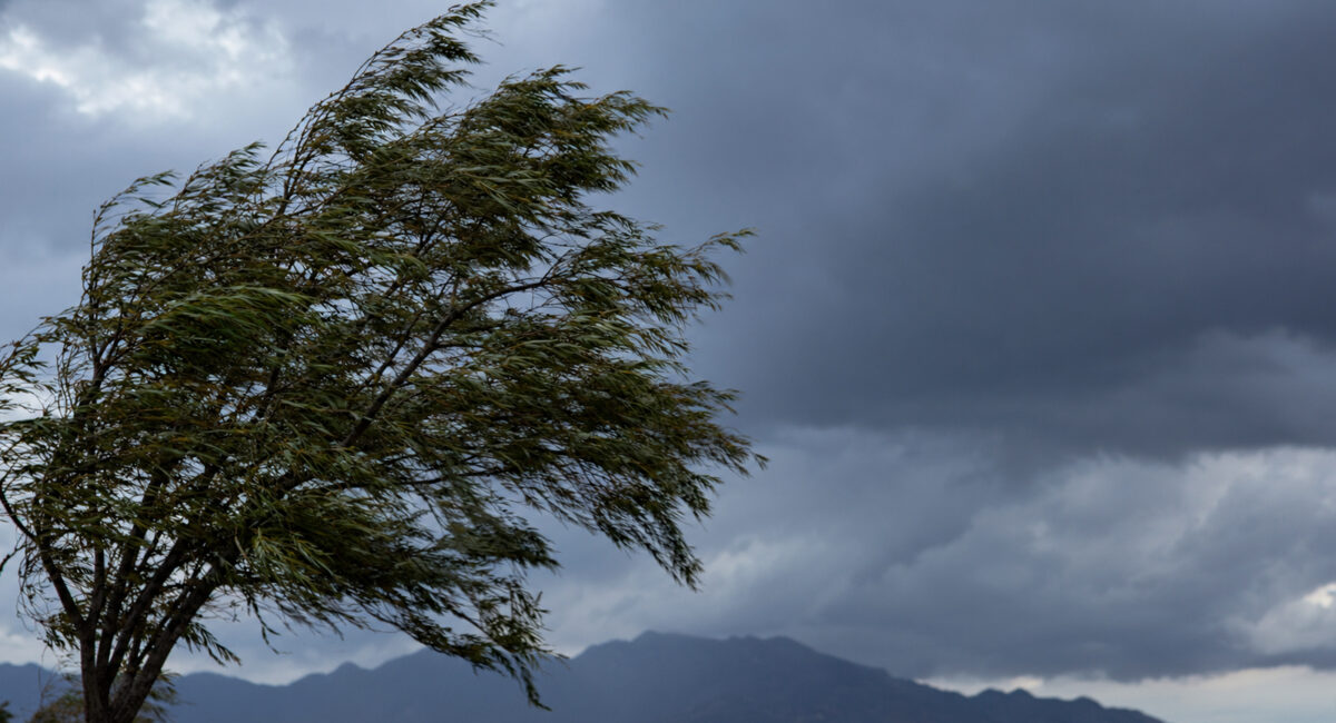 Primer frente frío llegará a México este lunes 21 de septiembre; Sonora tendrá fuertes vientos