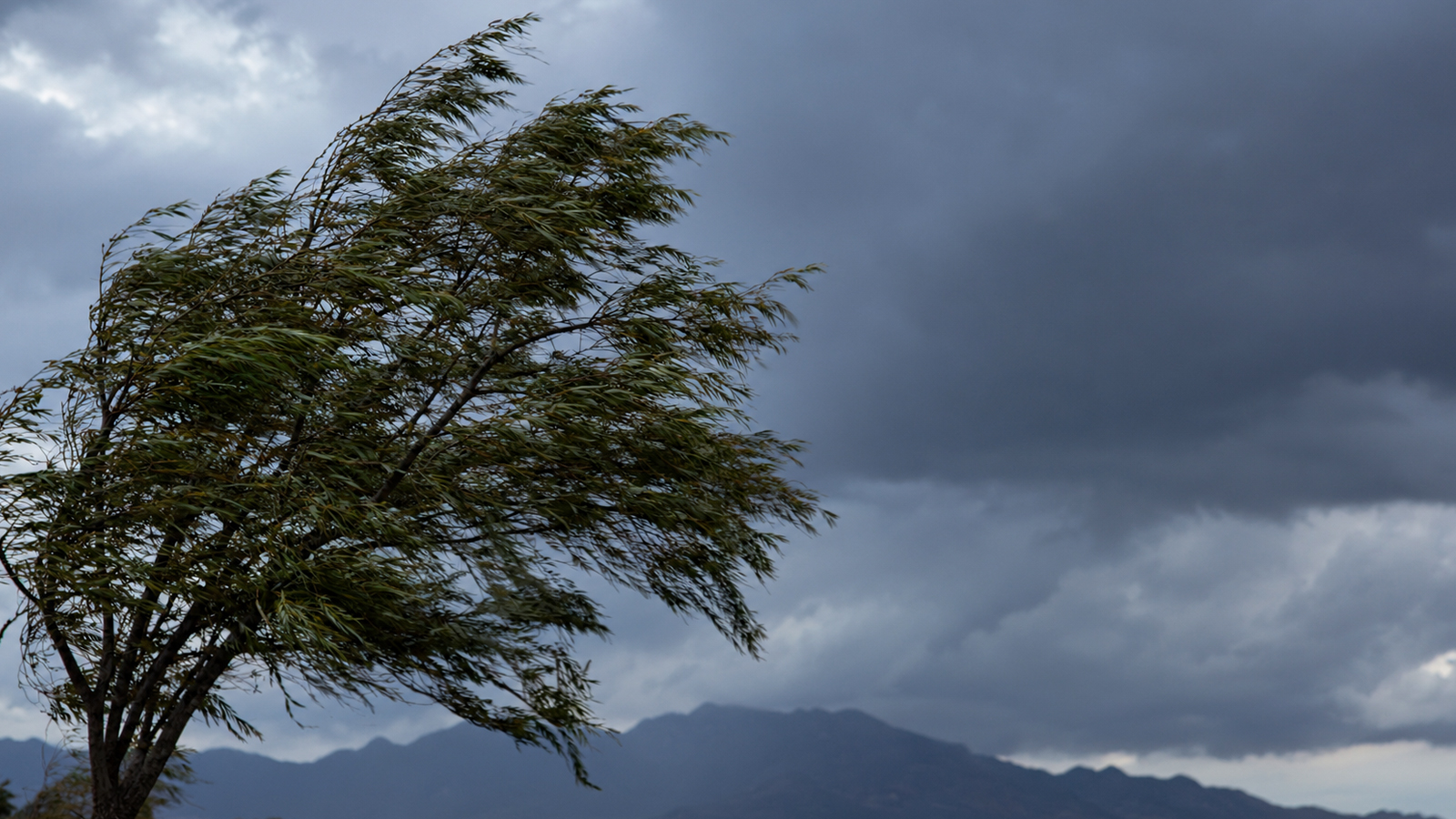 Primer frente frío llegará a México este lunes 21 de septiembre; Sonora tendrá fuertes vientos
