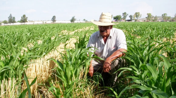 Productores alertan por recorte a programas clave para mantener la rentabilidad del campo