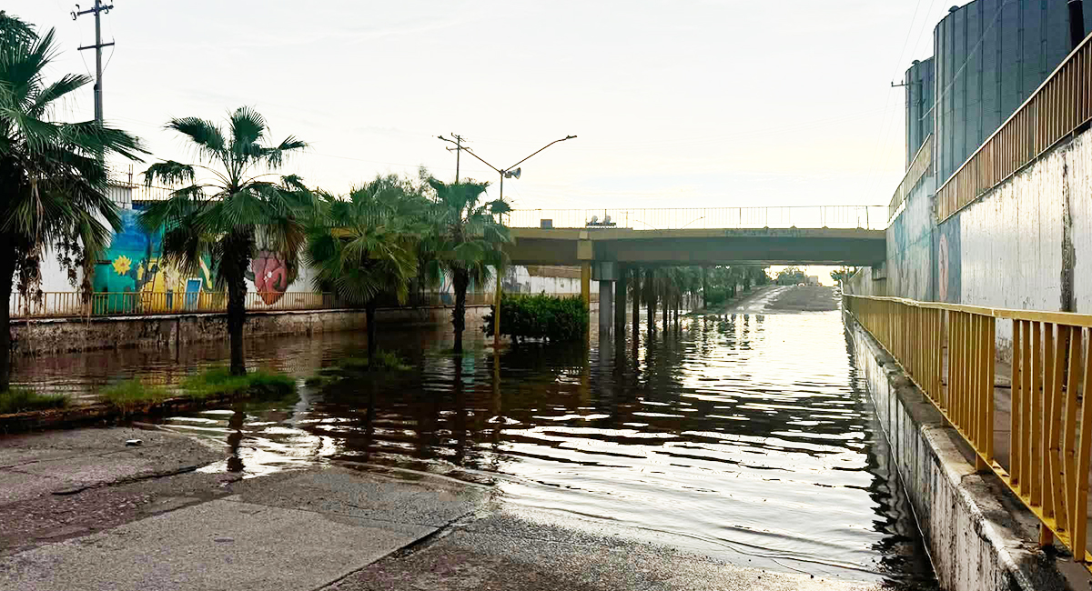 Pronostican tormentas intensas y vientos fuertes en el sur de Sonora este fin de semana