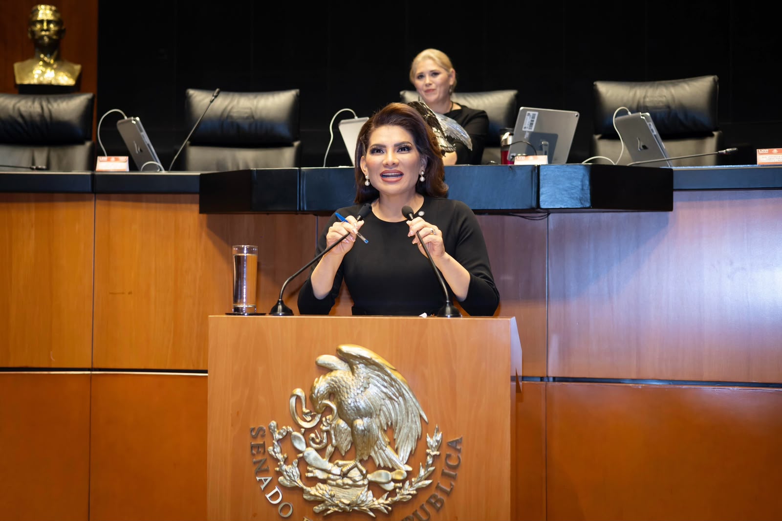 Reconozco la medida de la presidenta para restringir el uso de celulares en las escuelas Lorenia Valles