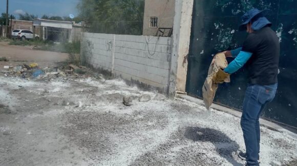 Reportan alacranes y ciempiés en Los Palmares, Empalme; atiende Ecología