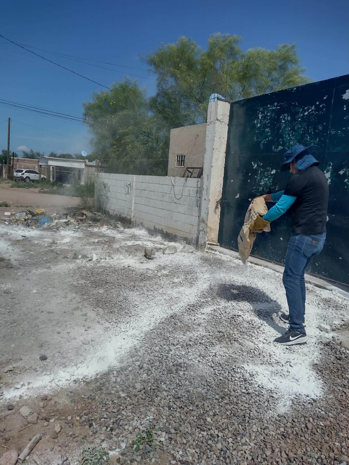 Reportan alacranes y ciempiés en Los Palmares; atiende Ecología