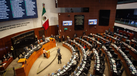 Senado aprueba ‘Ley Antimemes’: ¿Qué tipo de contenido digital será sancionado?